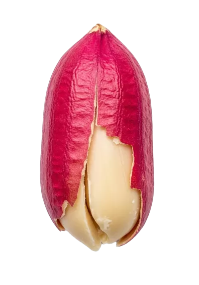 Imagen PNG para descargar